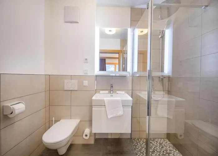 Modern Near Zillertal Arena Σαλέ Neukirchen am Großvenediger